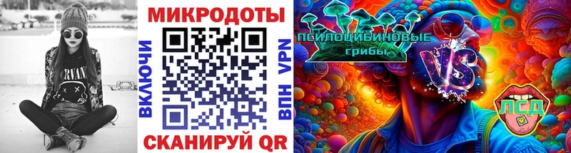 Галлюциногенные грибы прущие грибы  Кубинка 